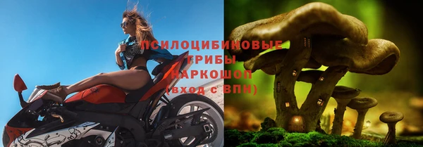 PSILOCYBIN Богородицк